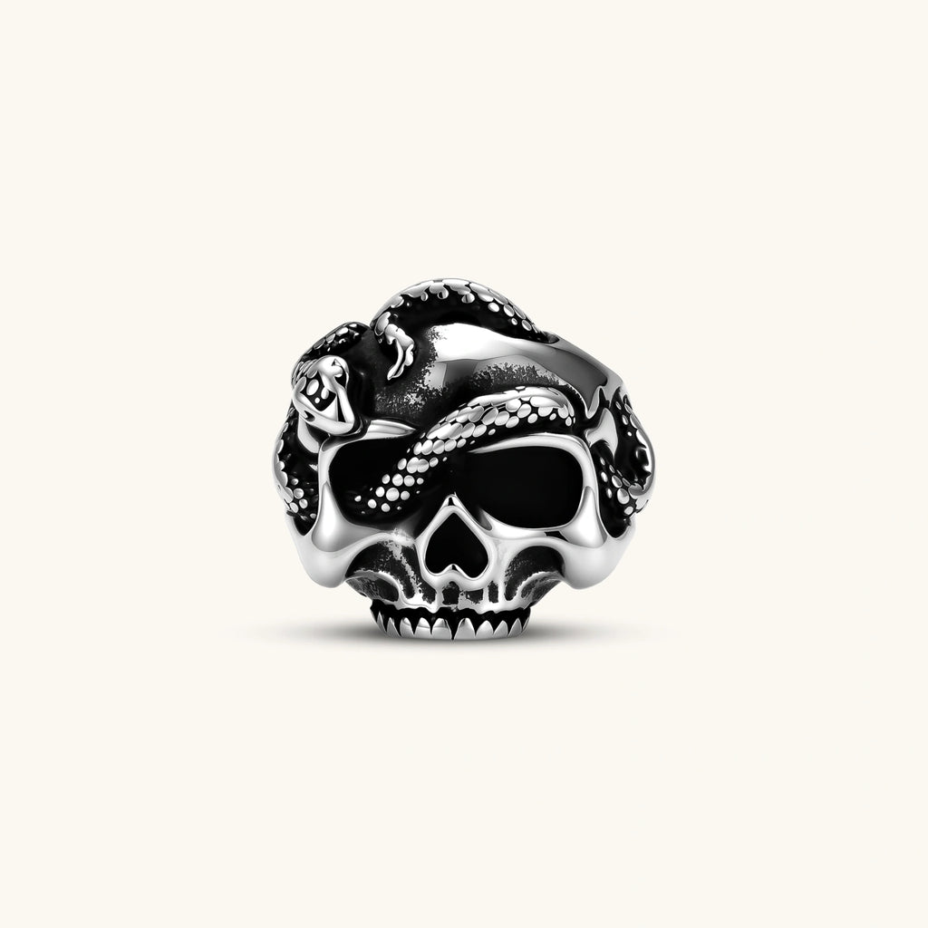 Silver stainless steel ring with bold skull face and coiled snake wrapping the crown, blackened recessed details.